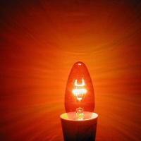 Orange Light Bulb