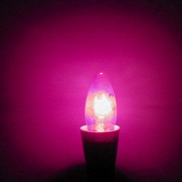 Pink Candle Light Bulb