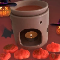 cropped-Photoroom_20240917_145256