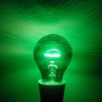 cropped-Plain-GLS-Cat